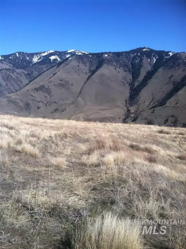 Riggins, ID 83549,TBD Little Salmon Overlook