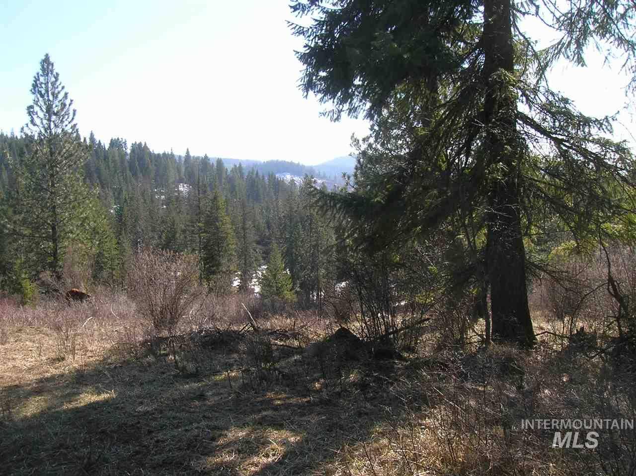 Kendrick, ID 83537,000 Red Willow Road
