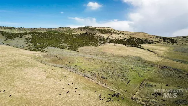 Albion, ID 83311,TBD Marsh Creek Road