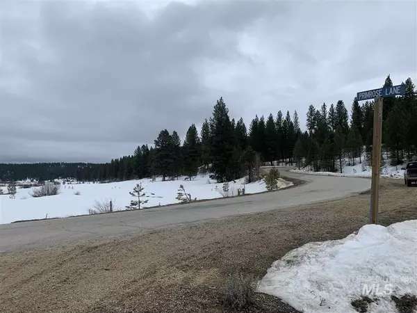 Placerville, ID 83631,Lot 3 Primrose Lane