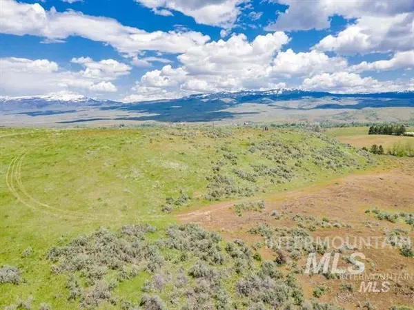 Indian Valley, ID 83632,TBD Ben Ross Rd 39.85 Ac