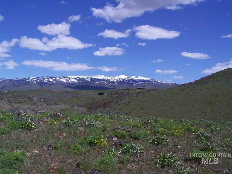 TBD Mesa Siding Road, Council, ID 83612