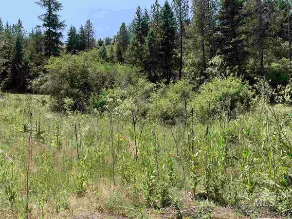 Kooskia, ID 83539,000 Big Buck Road