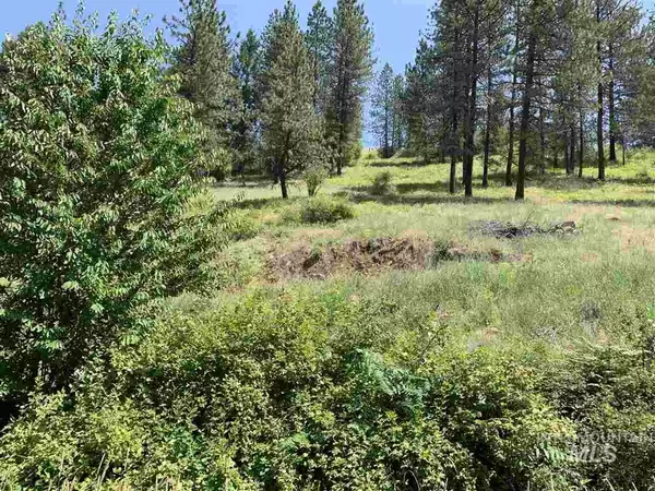 Kooskia, ID 83539,000 Big Buck Road