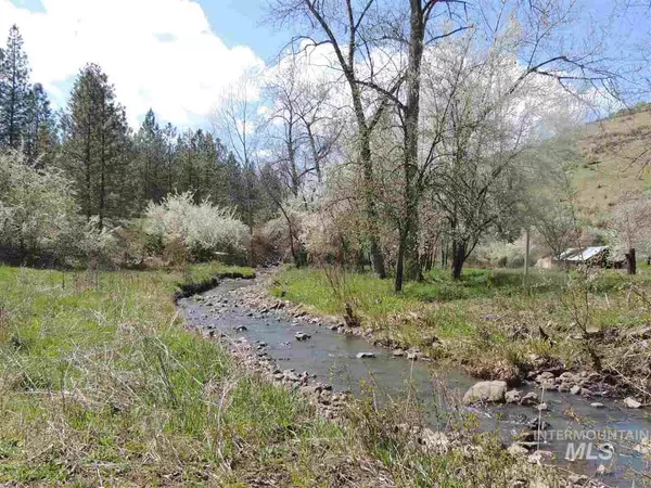 Stites, ID 83552,325 Sally Ann Rd