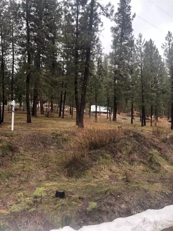 Sub 2 Lot #2, Idaho City, ID 83631