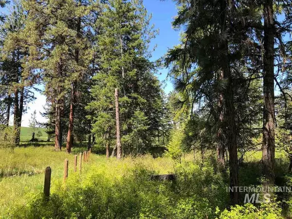 Weippe, ID 83553,Lot 5 Clark Valley Court