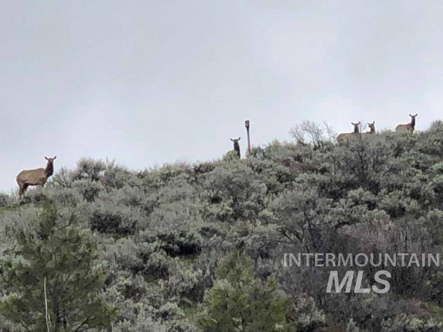 Lot 25 Whitehawk Way, Boise, ID 83716