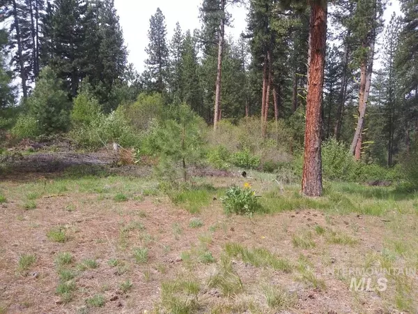 Idaho City, ID 83631,Lot 11 Blk 3 Meadow Dr