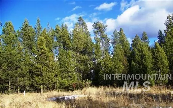 4 Smylie Court, Mccall, ID 83638