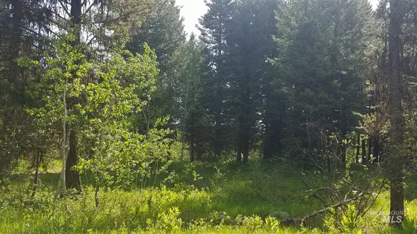 Mccall, ID 83638,TBD Boydstun Lane