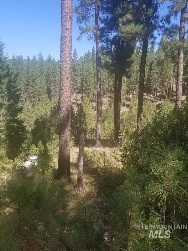 Idaho City, ID 83631,Lot 30A Sunrise Haven