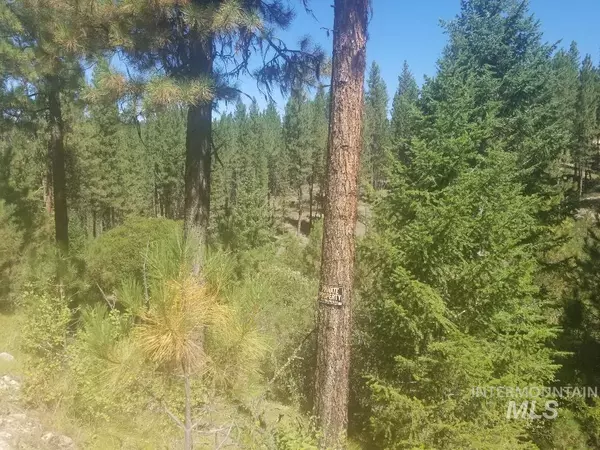 Idaho City, ID 83631,Lot 30A Sunrise Haven