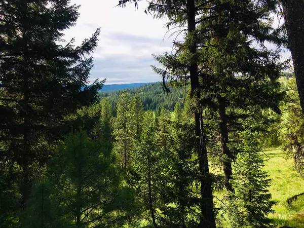New Meadows, ID 83654,TBD Tamarack View Drive