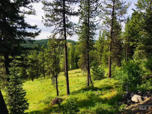 New Meadows, ID 83654,TBD Tamarack View Drive