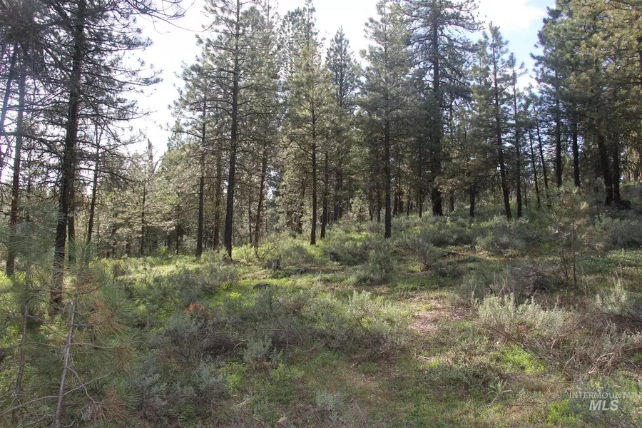 Lot 8 Yarrow Drive, New Meadows, ID 83654