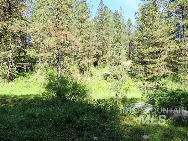 Banks, ID 83602,Lot 5 Sunset Rd.