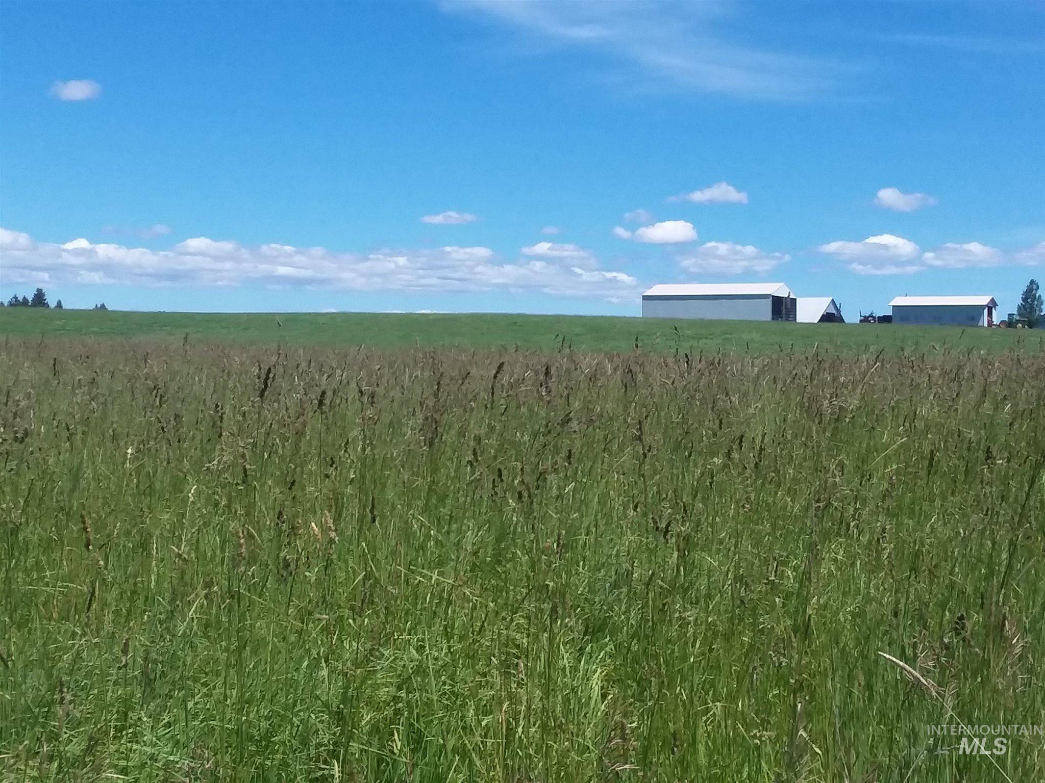 Kamiah, ID 83536,000 B Caribel