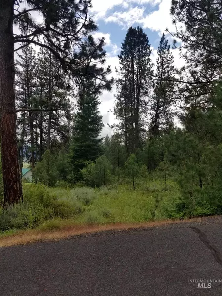 3633 Nelson Ct., New Meadows, ID 83654