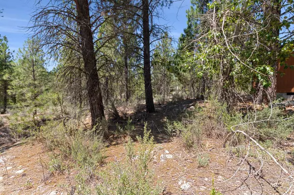 Idaho City, ID 83631,403 Elk Creek Road