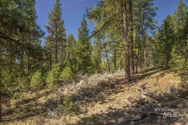 Cascade, ID 83611,TBD Pine Ridge Drive