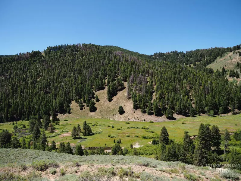 Lot 27 Byram Little Smoky, Fairfield, ID 83327