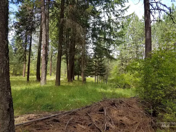 Lot 6 Woodland Meadow, Orofino, ID 83544