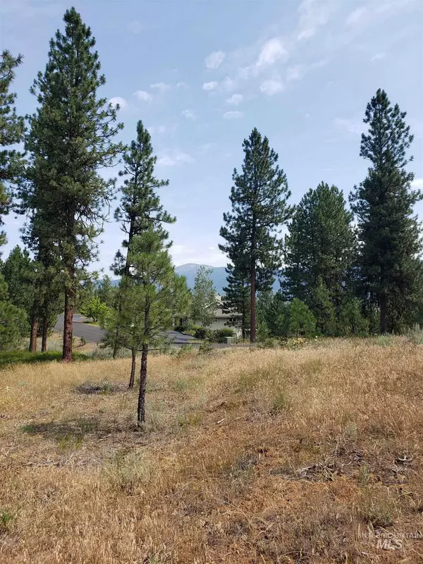 New Meadows, ID 83654,Lot 16 Sarazen Ct.