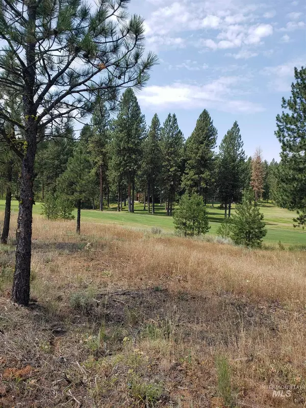 New Meadows, ID 83654,Lot 16 Sarazen Ct.