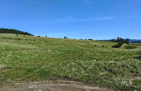 Potlatch, ID 83855,64 +/- AC Cora Road