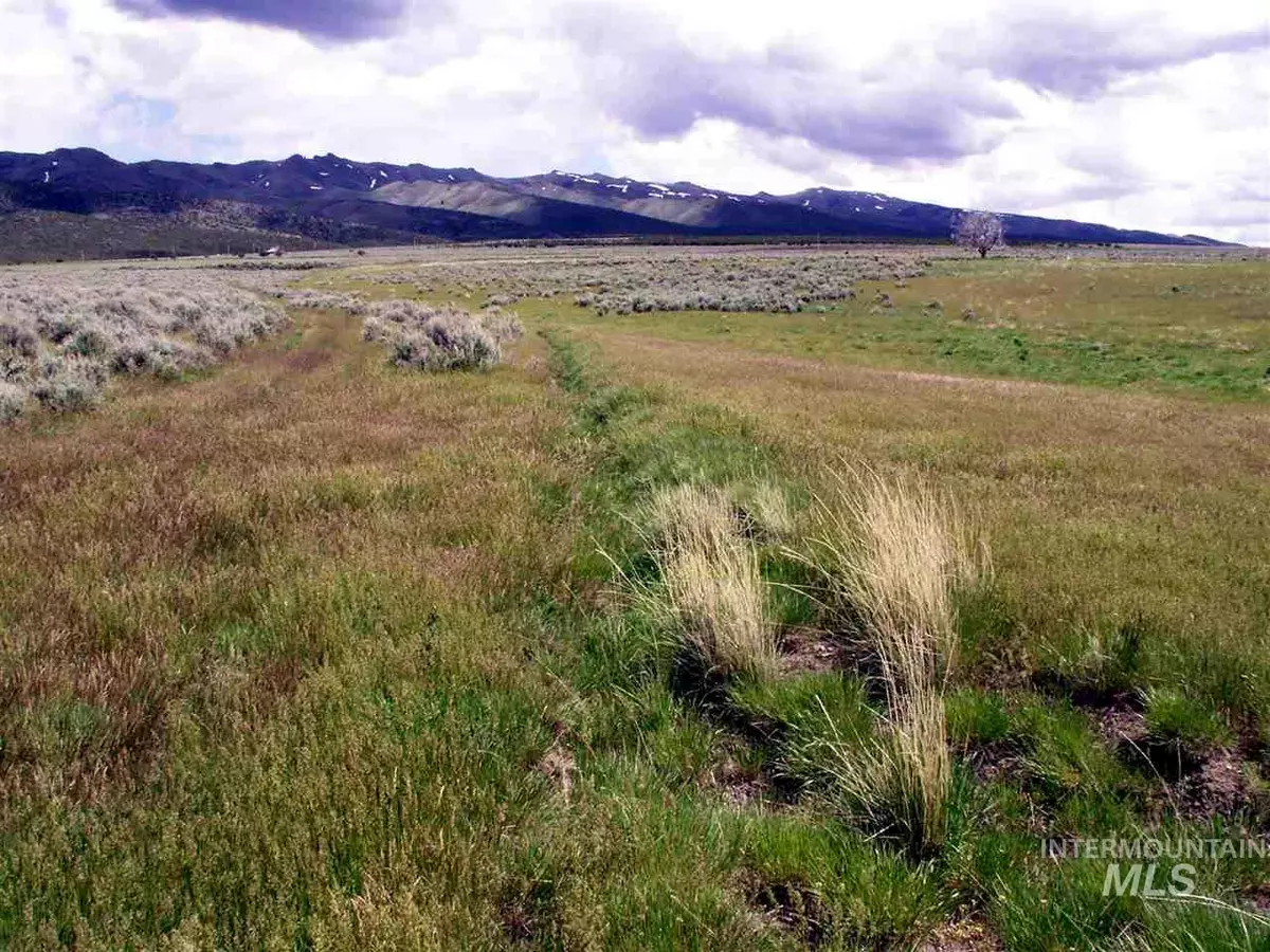 Elba, ID 83342,0 Elba-Almo Road