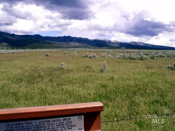 Elba, ID 83342,0 Elba-Almo Road