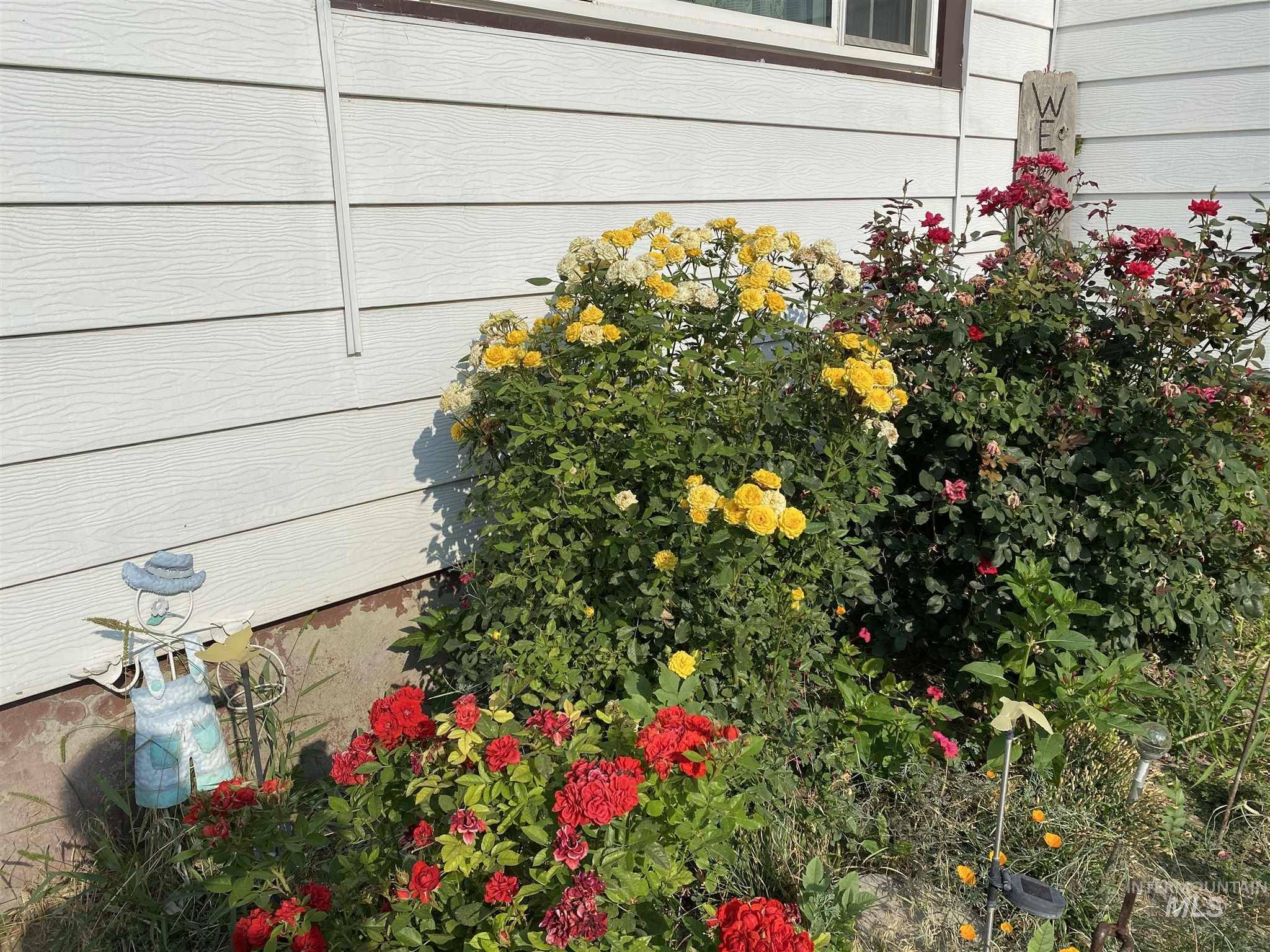 Twin Falls, ID 83301,139 Taylor