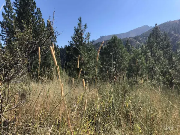 Lowman, ID 83637,Lot 2 Plateau Ct.