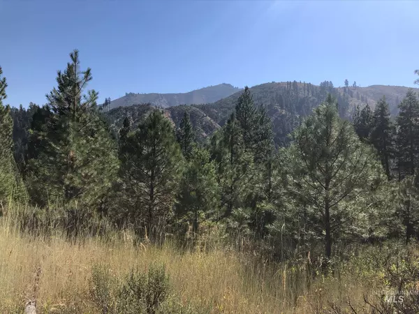 Lowman, ID 83637,Lot 2 Plateau Ct.