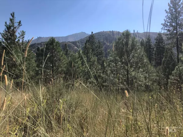 Lowman, ID 83637,Lot 2 Plateau Ct.