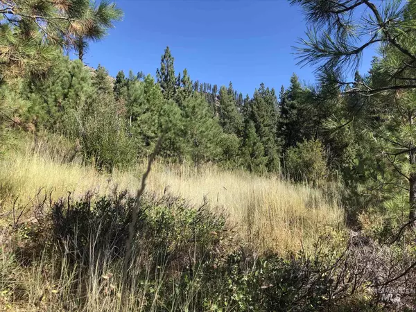 Lowman, ID 83637,Lot 2 Plateau Ct.