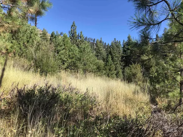 Lowman, ID 83637,Lot 2 Plateau Ct.