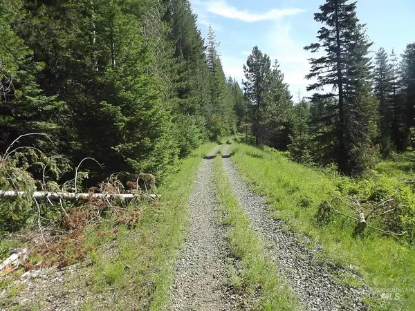 Pierce, ID 83546,0000 Old Rail Line South Cardiff