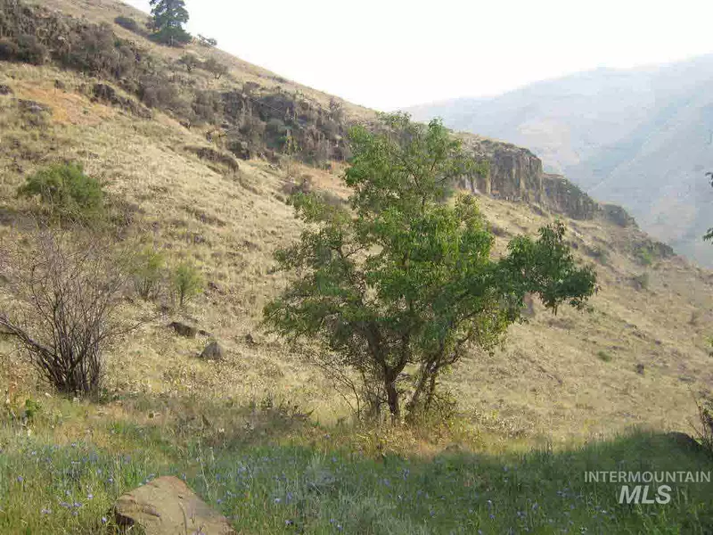 Seven Devils Road Road, Riggins, ID 83549