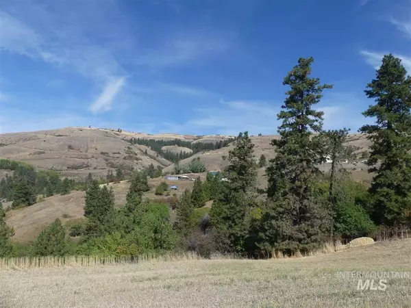 Lenore, ID 83541,19947 Canyon Vista Lane