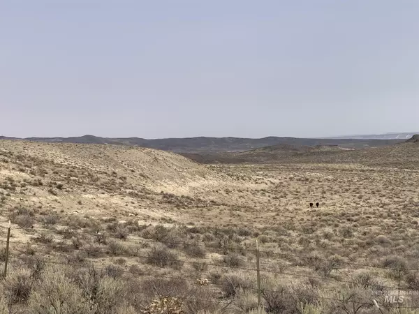 19411 Hwy 78, Murphy, ID 83650