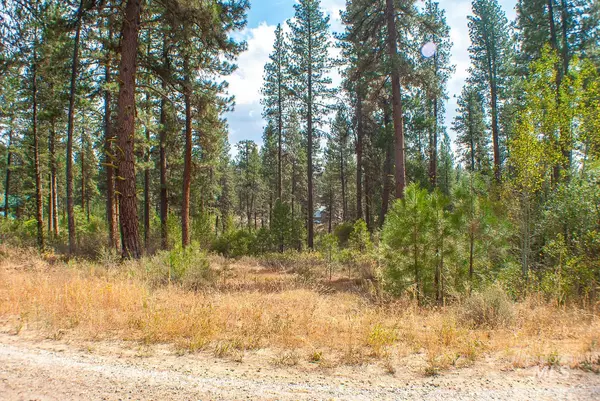 Idaho City, ID 83631,TBD Reinhart Road