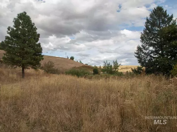 Lenore, ID 83541,TBD River Road Parcel #4