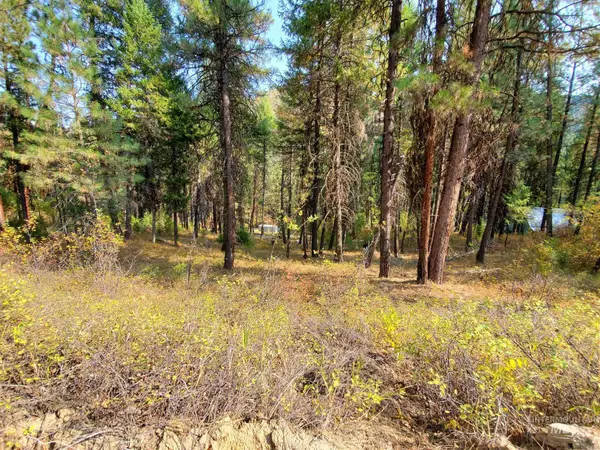 Lowman, ID 83637,Lot 17 Blk 1 Enchanted Valley