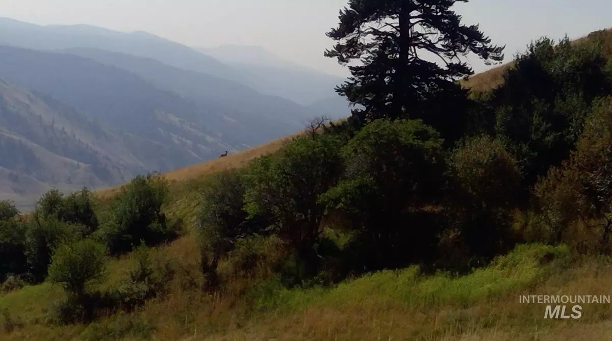 Pollock, ID 83547,Lot 98 Elk Haven Circle