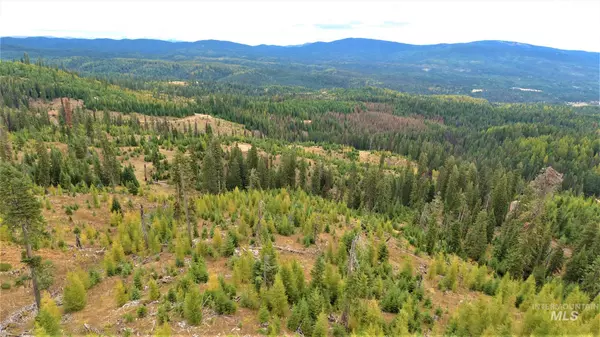 Elk City, ID 83525,TBD Parcel 7 Elk Summit