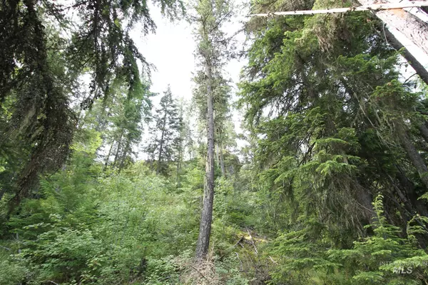 0000 E Bell Canyon Rd, Harrison, ID 83833