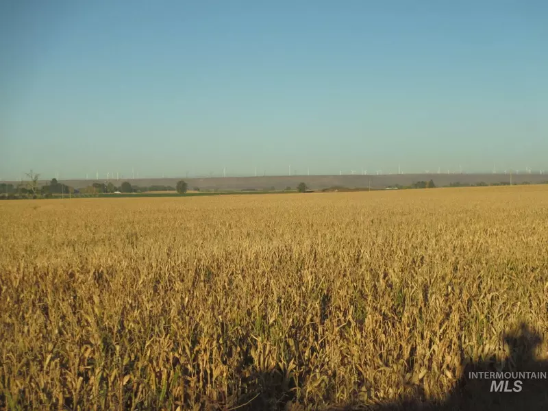 2500 S 1300 East, Tuttle, ID 83314