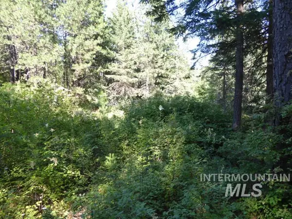 St. Maries, ID 83861,NNA Snowberry Lane Lot 13